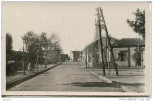 CPSM AIN-SEFRA-AVENUE DE LA GARE