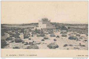 AIN SEFRA TIOUT cpa animée Le Marabout         11 Geiser