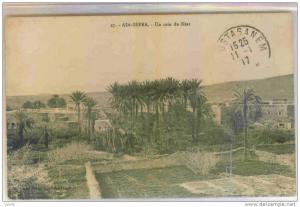 AIN-SEFRA (Algérie) - Un Coin du Ksar