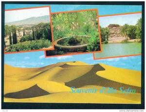 SOUVENIR D' AIN SEFRA - Algerie  Algeria Algerien 60082