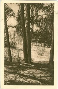 32 - ALGERIA AIN-SEFRA NOT CIRCULATED