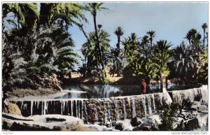 ALGERIE / ALGERIEN    TIOUT     Environs d´ AIN SEFRA - Le Barrage