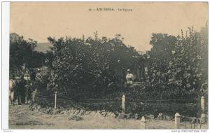 AIN-SEFRA - Le Square