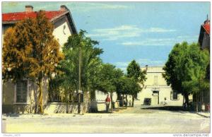 AIN-SEFRA...AVENUE DE LA GARE....CPSM PETIT FORMAT ANIMEE