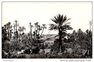 Ain Sefra - Oasis du Ksar  Achat Immédiat