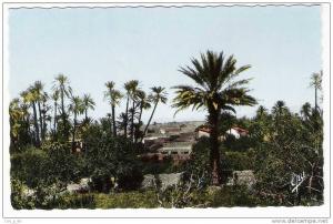 Algerien - Ain Sefra - Oasis et Ksar