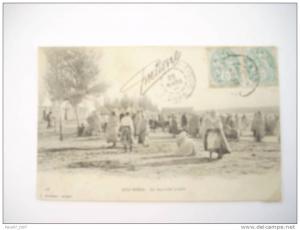 ALGERIE  AIN SEFRA       CARTE/  MOLLE   EN LETAT   sinon  ttb