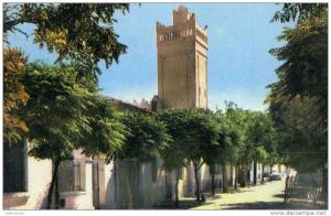 ALGERIE -  AIN SEFRA - LA MOSQUEE