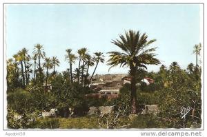 AIN-SEFRA - Oasis et Ksar