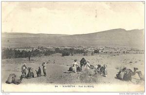 *  ALGERIE AIN SEFRA VUE DU BORDJ ANIMEE