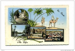 UNE PENSEE D AIN SEFRA