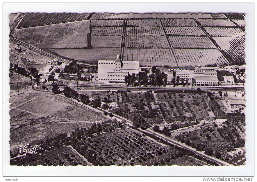 RELIZANE - vue aérienne Propriété privée