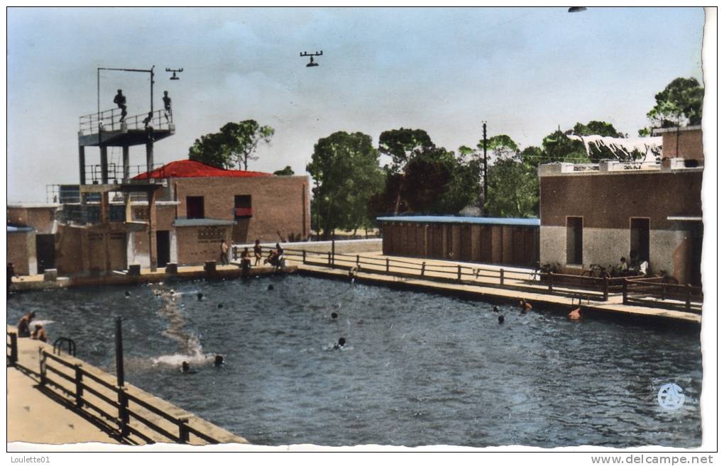 RELIZANE  La piscine - Animée