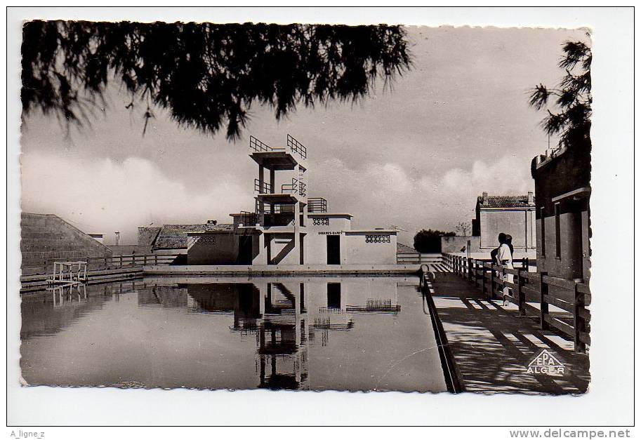REF 72 -- ALGERIE -- CPSM RELIZANE La piscine