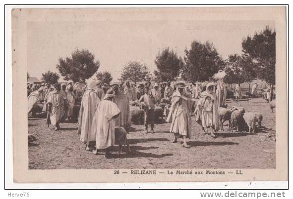 ALGERIE - RELIZANE - le Marché aux Moutons