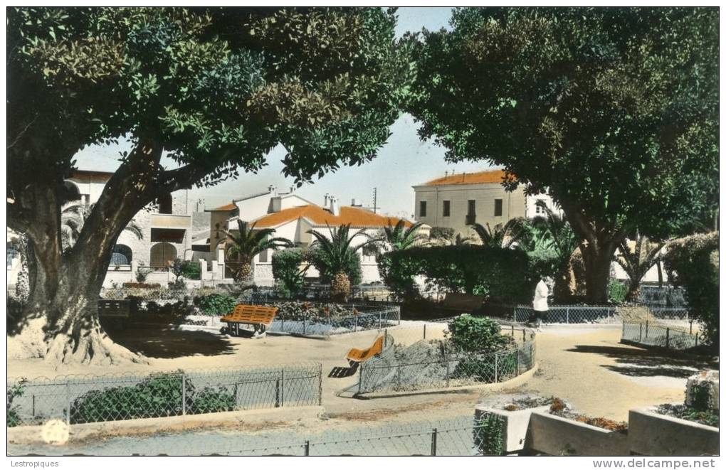 CPSM  -  RELIZANE - le jardin public