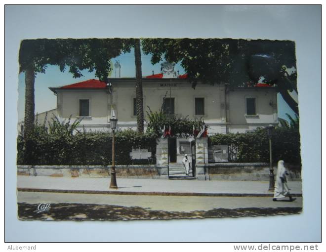 Relizane , la Mairie , c p photo 14X9