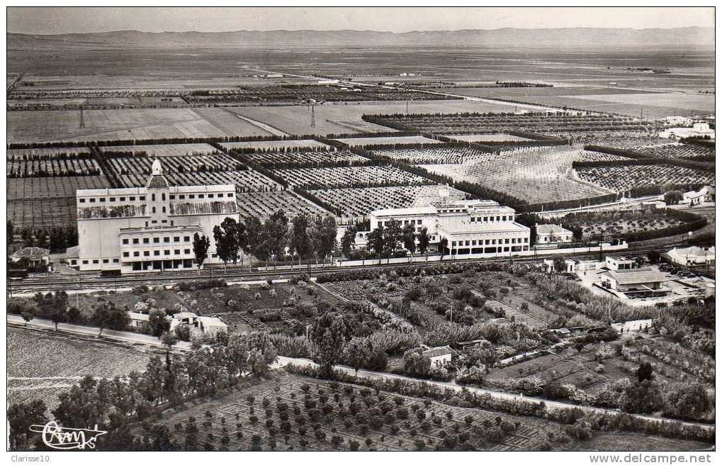 Algerie CPSM Relizane(Oran) Vue Aerienne