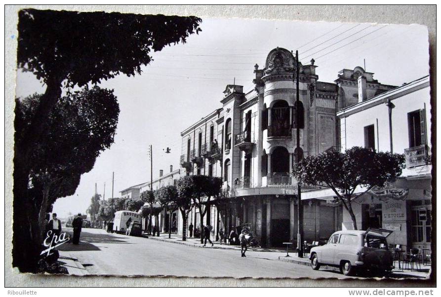 Algérie - CP N°AG702 - Relizane - CPSM/E