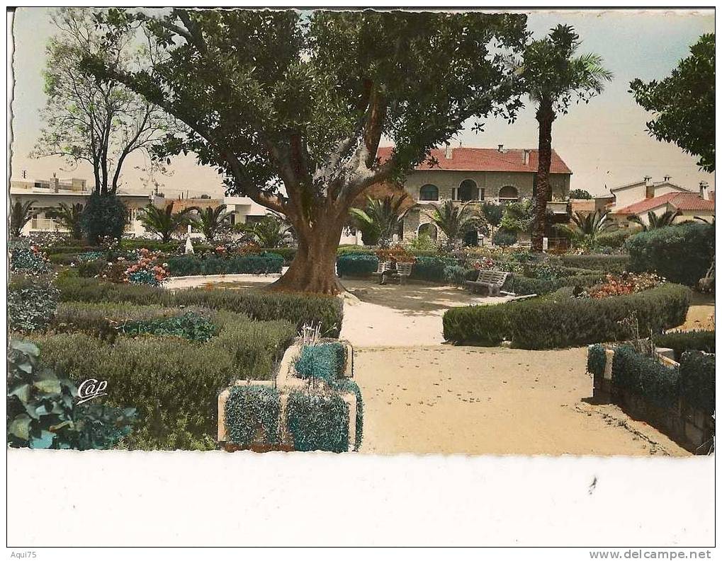 RELIZANE     Le Jardin Public