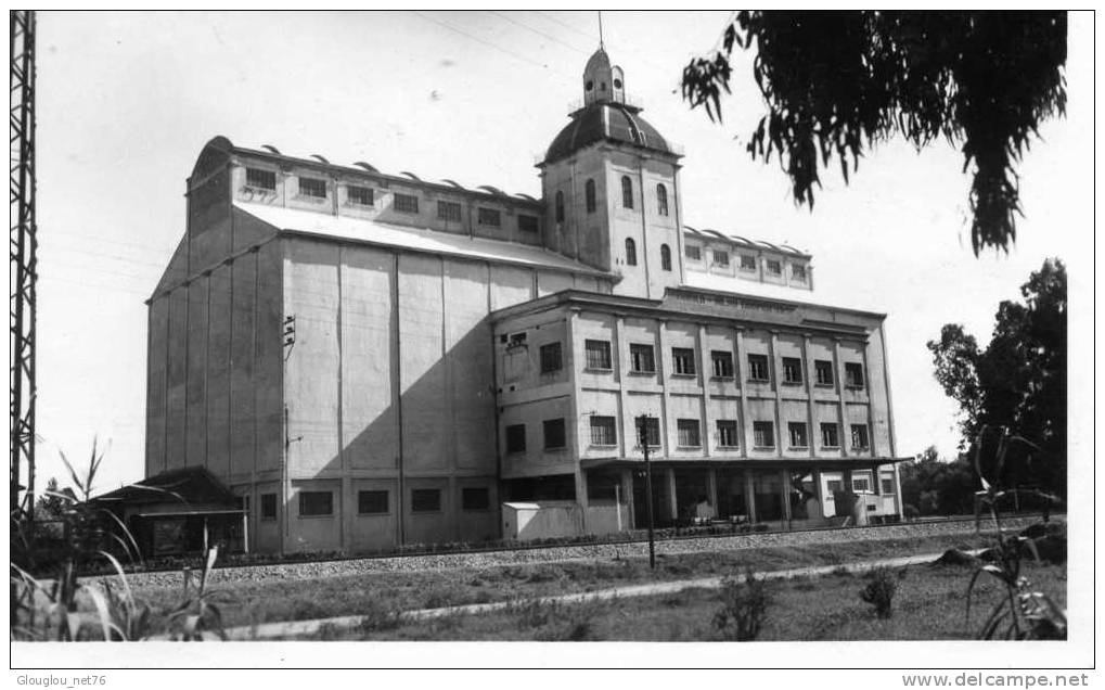 RELIZANE...LES DOCKS COOPERATIFS.....CPSM PETIT FORMAT