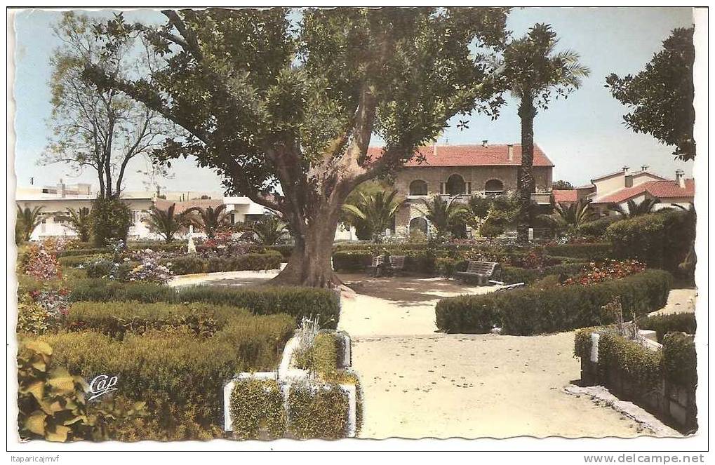 algérie   RELIZANE   le  jardin public