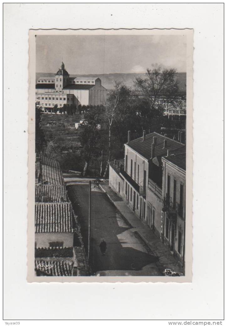 Algérie Oran Relizane Docks Coopératifs belle carte dentelée