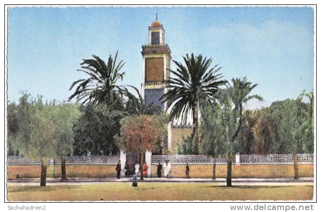 cpsm. RELIZANE. La Mosquée. 53