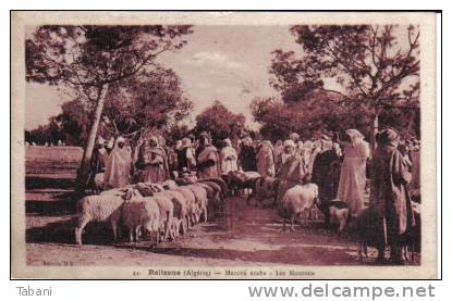 Algeria, Relizane. Marché arabe. Les moutons.CPA