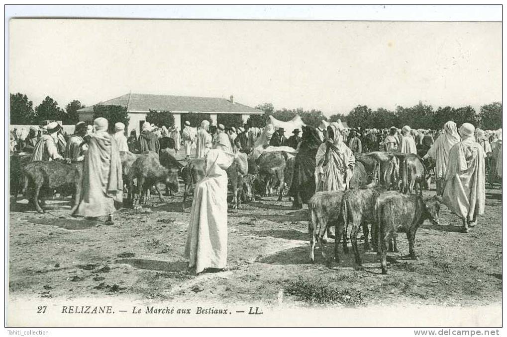 RELIZANE - Le Marché aux Bestiaux