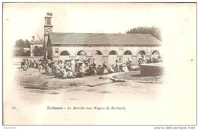 Relizane - Le Marché aux figues de Barbarie