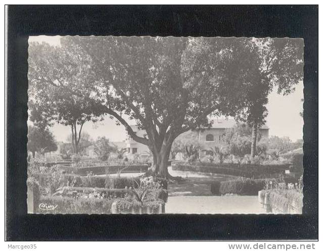 relizane (oran) square d.rivière édit.combier belle cpsm