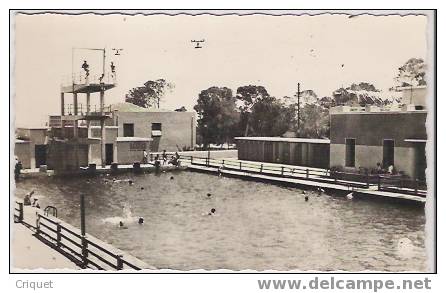 cpsm Relizane  la piscine  animée