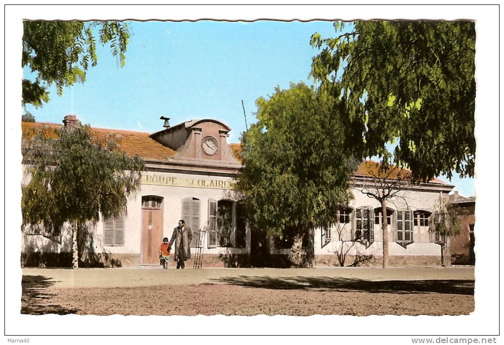ALGERIE - AIN SEFRA - Le Groupe Scolaire
