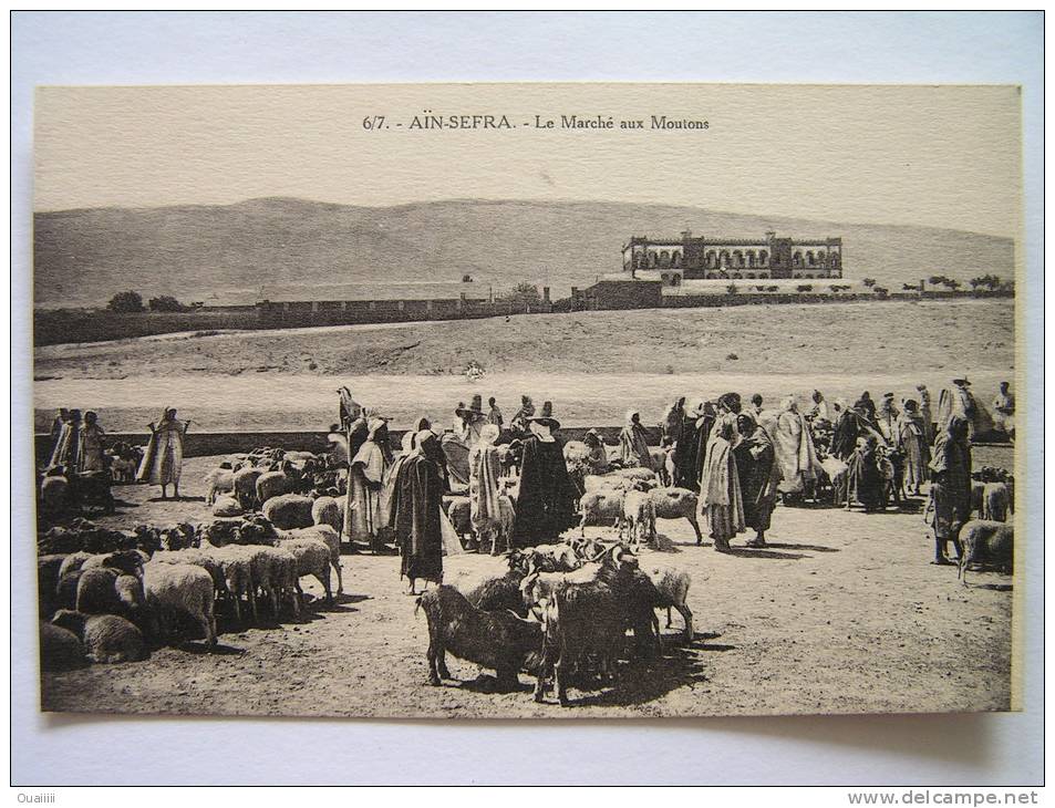 cpa, très belle vue animée, Aïn Sefra, le marché aux moutons