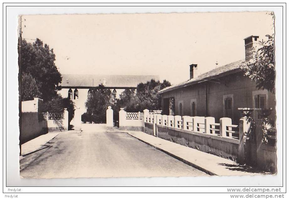 AIN SEFRA  DANS LE SUD ORANAIS  PROPRIETE DES PERES BLANCS