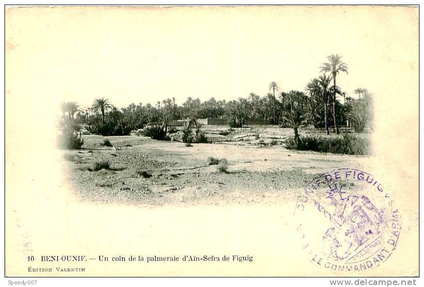 Belle CPA -   Beni Ounif.Un coin de la Palmerie d' Ain Sefra de Figuig. D 1062