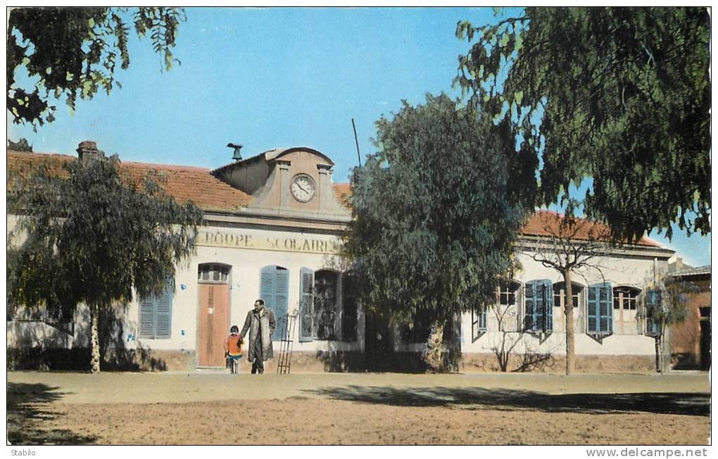 ALGERIE - AIN-SEFRA - LE GROUPE SCOLAIRE