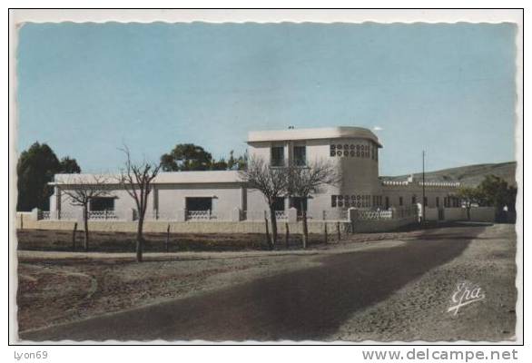 23 AIN  SEFRA ECOLE MENAGERE