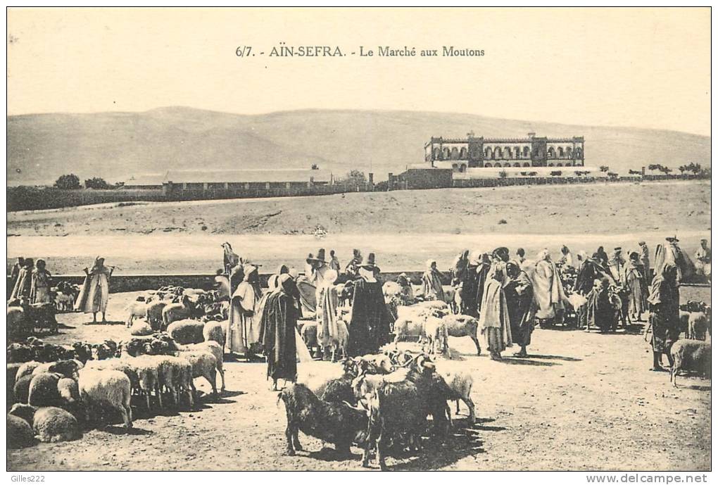 ETRAN 405 CPA  AIN SEFRA le marché aux moutons   animation  belle carte