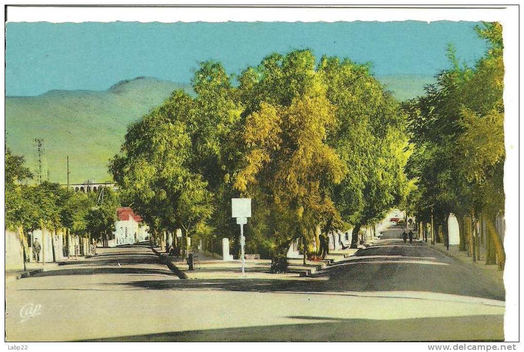 AIN SEFRA LES DEUX AVENUES