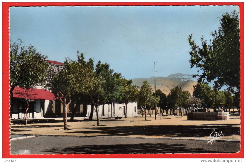 N° 36- AIN-SEFRA - La Place G. Clemenceau . Edition EPA