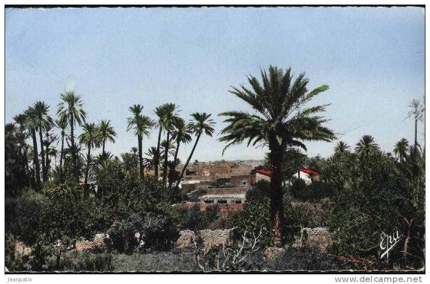 AIN-SEFRA - Oasis du Ksar