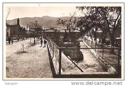 CPSM - AIN SEFRA - LE SQAURE - Edition Photo-Africaines / N° 13