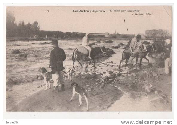 ALGERIE - AIN-SEFRA - l'Oued par une crue
