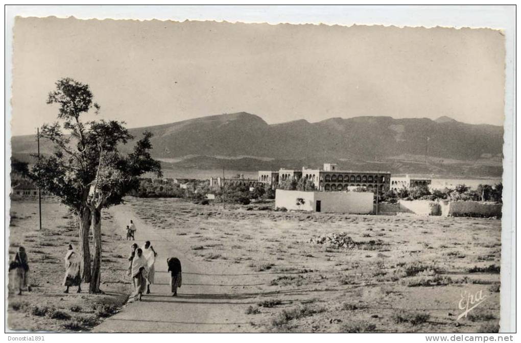 ALGERIE  AIN SEFRA   Les Casernes ,  9x14 dentelée , glaçée  . écrite 1956 non timbrée