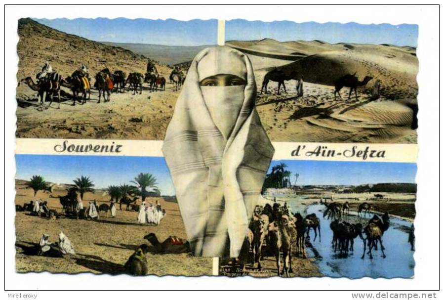 CPA / ALGERIE / AIN SEFRA