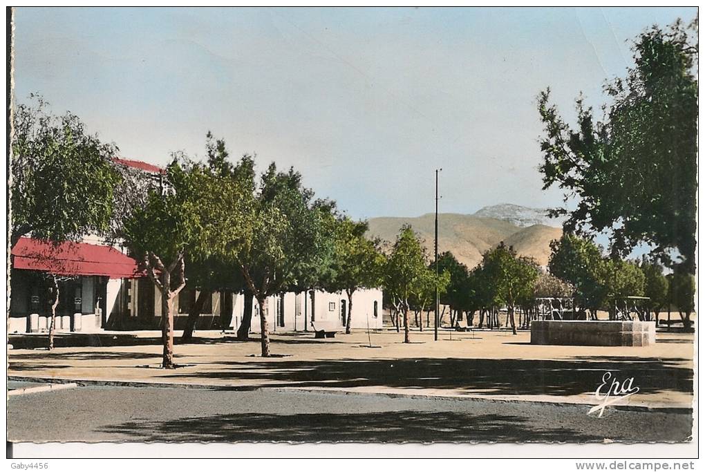 1960  AIN  SEFRA    LA PLACE  G  CLEMENCEAU