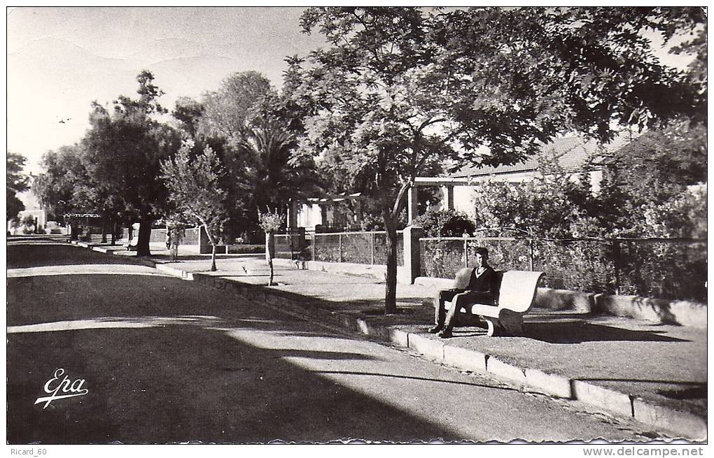 cpsm ain sefra, jardin public