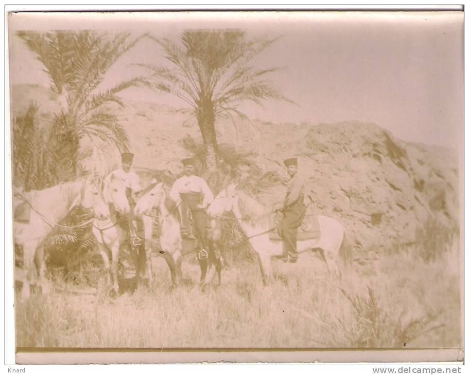 PHOTO.  AIN SEFRA..  OASIS ...CAVALIER..  format 122 x90..